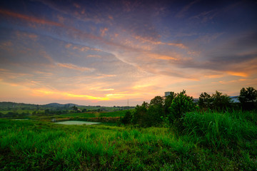 Agricultural landscape in First Dairy Farm during sunrise.
