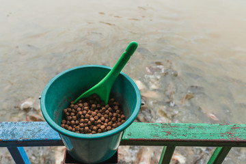 Animal feeds ladle on steel fence