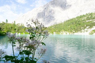 Detail shot of the wonderfull Sorapiss lake in the italian Alps, in the Dolomites mountains range...