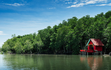 Red spirit shrine in Thailand tropical mangrove swamp forest lush evergreen river landscape