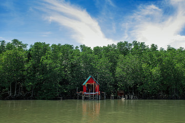 Red spirit shrine in Thailand tropical mangrove swamp forest lush evergreen river landscape