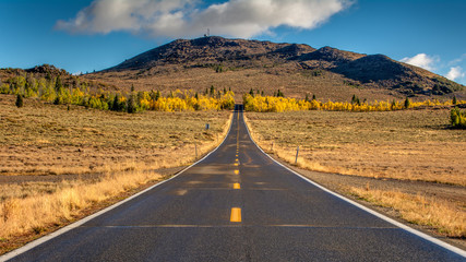 Paved road near Monitor Pass in California, USA, in the autumn, leading to a patch of yellow aspen trees and pine trees in the distance