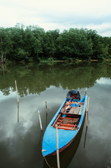 Obraz premium Thailand colourful wooden fishing boat in tropical canal with mangrove forest