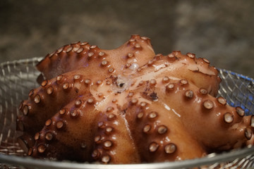 Boiled octopus. Close-up photo