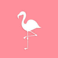 Flamingo bird white shape on pink background