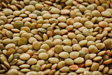 Lentils. Lentils background. Green lentils pattern. Natural organic lentils for healthy food