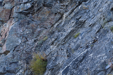 Rock with blue stones and green moss close-up