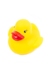toy duck on white background