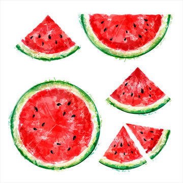 Set of whole, half and slices of watermelon in a cut on a white background. Summer design. Vector watercolor