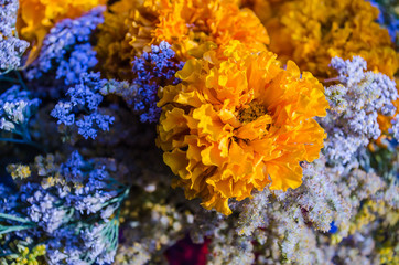 Naklejka na ściany i meble Orange and blue flowers in the bouquet closeup