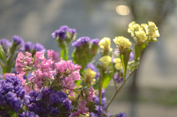 Yellow, pink, purple summer flowers in the bouquet closeup