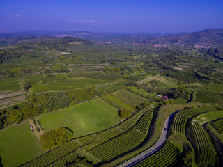 Weinberge Reben mit Drohne 