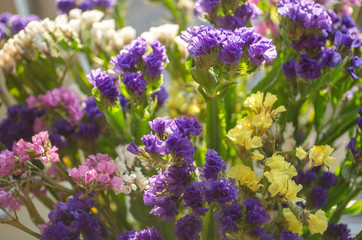 Fototapeta premium Yellow Pink Purple and white summer flowers in the bouquet closeup