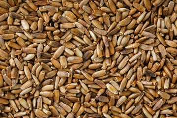 bird seed, mixed granular food for canaries and budgerigar