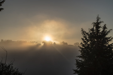 Sole dietro la nebbia