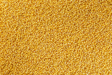 Yellow millet background. Healthy grains vegetarianism, Macro