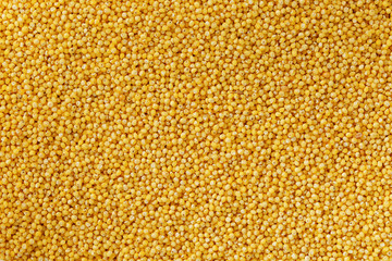 Yellow millet background. Healthy grains vegetarianism, Macro