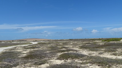 dunes and fields