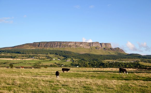Binevenagh 