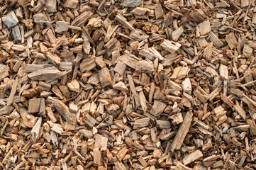 Wood Shavings Texture Background