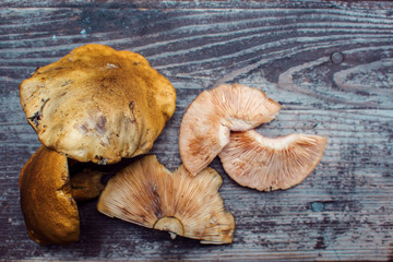 Mushrooms on a wooden table. Still life, mushroom harvest