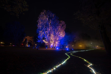 Lichtspiele Wiesbaden 2018
