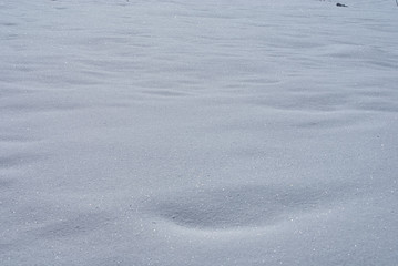 Snowy glade. Lago-Naki, The Main Caucasian Ridge, Russia