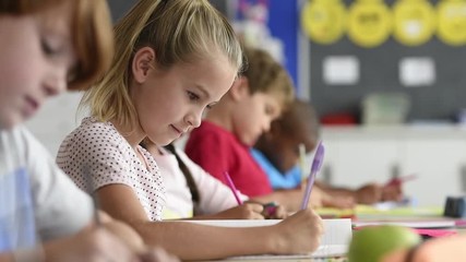 Portrait of smiling girl doing classwork and looking at camera - Powered by Adobe