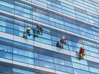 Climbers clean windows on the side of an office building