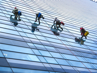 Climbers clean windows on the side of an office building