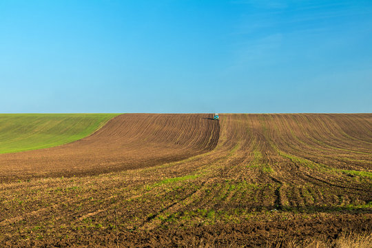 Winter wheat field in the fall with a tractor