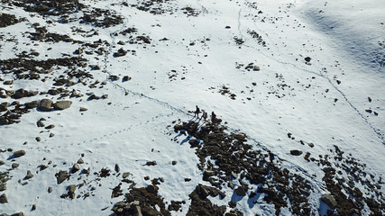 Climbers are on the snow in the mountains. Shooting with the drone. A group of people rises among the rocks and snow. Shines bright sun, lots of snow and stones. Outdoor activity.