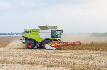 Agricultural combine harvests soybeans in the field