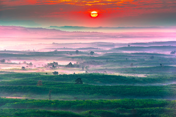 View of the countryside at Bueng kan province,Thailand.