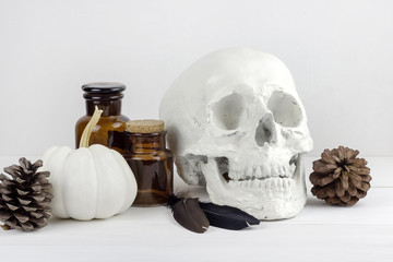 Minimal scientist laboratory halloween with white skull and pine cones.