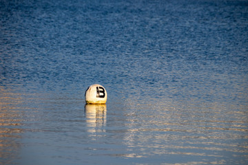Buoy on Water