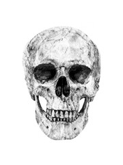 Black and White human skull have paper form surface and texture crumpled. isolated on white...