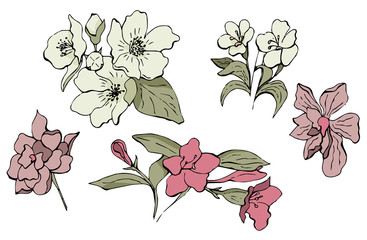 Hand drawn vector set of flowers in doodle