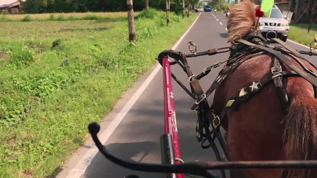 It's a traditional transportation in Jogjakarta called "delman"