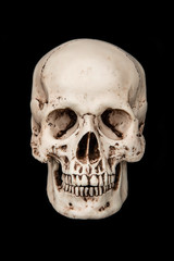 Human skull isolated on black background.