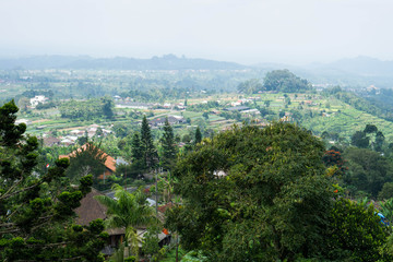 Obraz premium Beautiful view in Bedugul area in central part of Bali, Indonesia