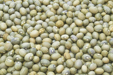 many bean beans texture