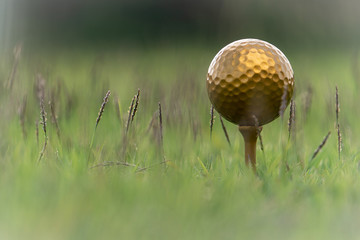 Gold golf ball and pins on the lush tropical greenery