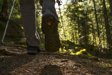 Hiking in the woods. Close up on man walking in the forest. Outdoor activity concept.