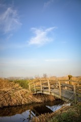 Bridge over creek in autumn coloured field vertical