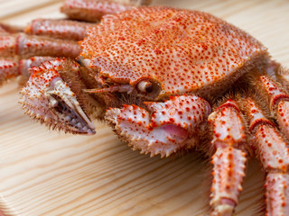 whole boiled crab on the village surface