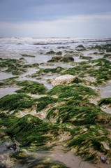 Moss stone beach
