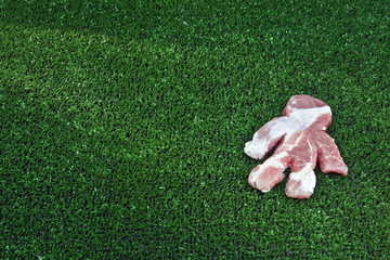 obiekt humanoid leżący na sztucznej zielonej trawie 