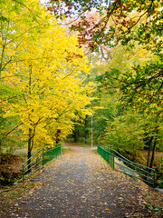 Fototapeta na wymiar A autumn path with bridge in a forest