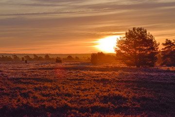  Sonnenaufgang Sonnenuntergang in der Lüneburger Heide